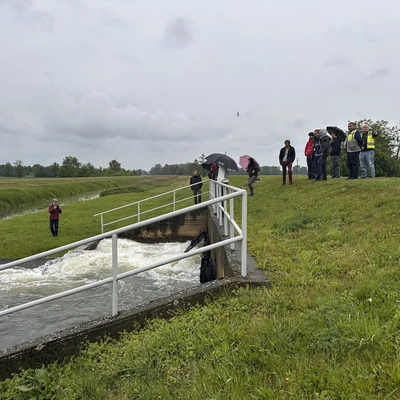 Uczestnicy zajęć terenowych na przepompowni w Dobrówkach Breńskich_5